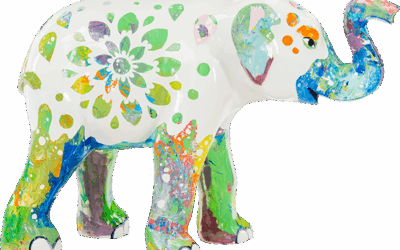 Ash the Elephant