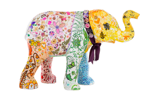 CHS Elle the Elephant