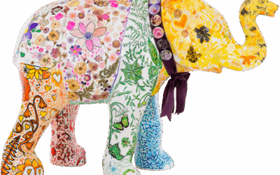 CHS Elle the Elephant