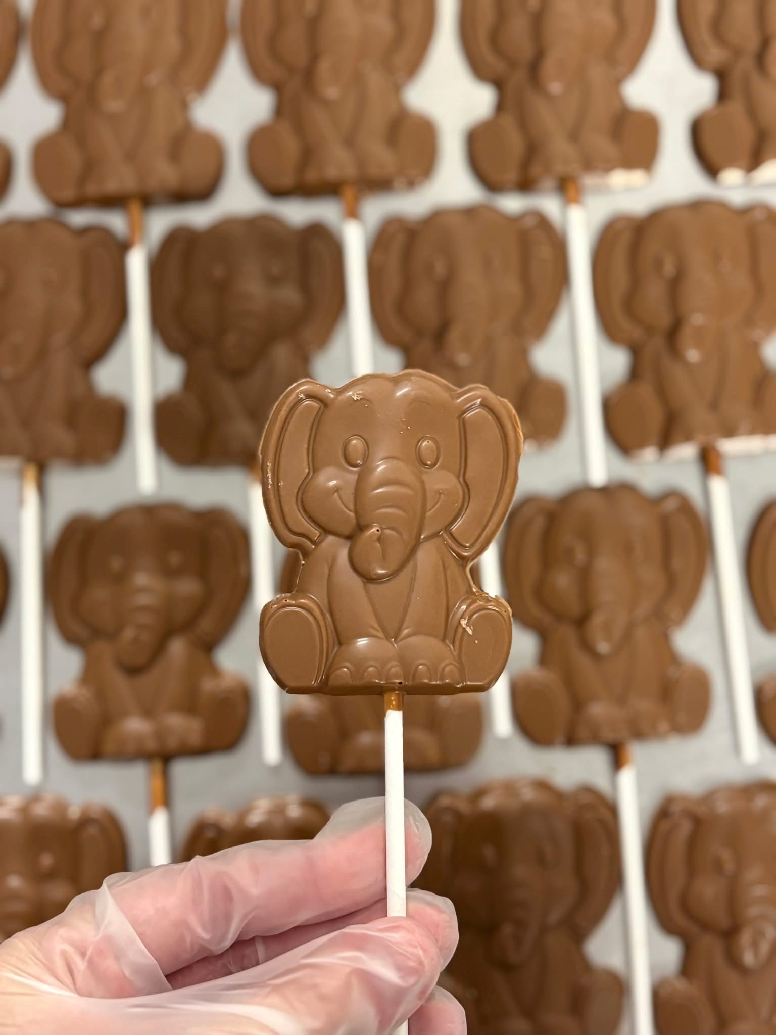 Chocolate Lollies
