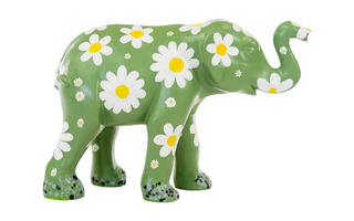 Daisy