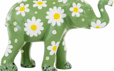 Daisy