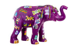 Deena, the DNA-lephant