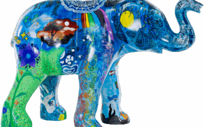 Elphis Presley ‘The King of Elephants’