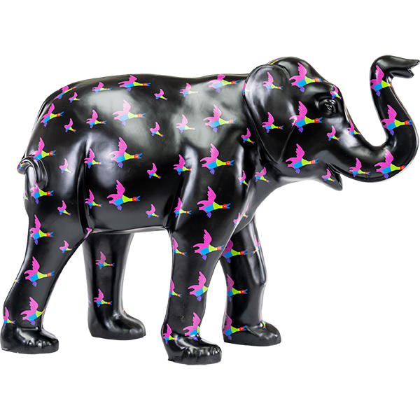 Serge_Elephant