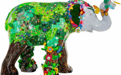 Willow the E-leaf-phant
